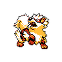 Arcanine