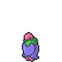Cherrim Sprite 31