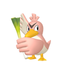 Farfetchd