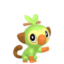 Grookey Sprite 5