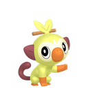 Grookey Sprite 7