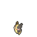 Morpeko Full Belly