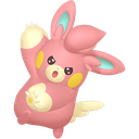 Pawmo