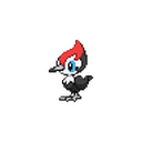 Pikipek Sprite 6