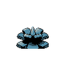 Pineco Sprite 5