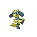 Riolu Official Artwork