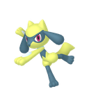 Riolu Sprite 14