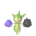 Roselia Sprite 30