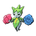Roselia Sprite 29