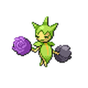 Roselia Sprite 12