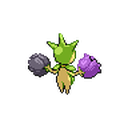 Roselia Sprite 2
