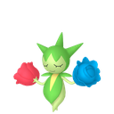Roselia Sprite 7