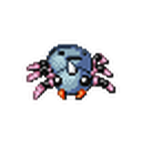 Spinarak